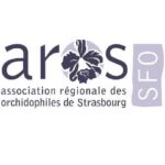 SFO STRASBOURG-AROS