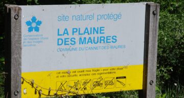 Protection des orchidées en France – Que faire quand on constate la destruction d’une espèce ou d’un milieu ?