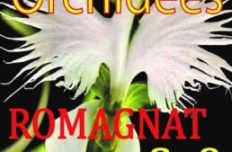 Salon des Orchidées – Romagnat – 8 et 9 janvier 2022