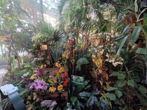 Mille-et-une-orchidees-20220223_5