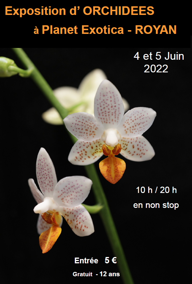 Exposition d'orchidées Royan Juin-2022