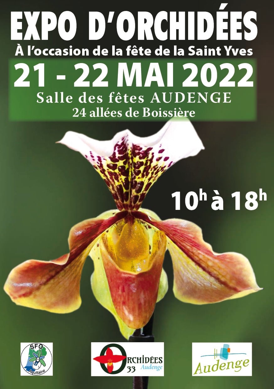Exposition d'orchidées Audenge mai-2022