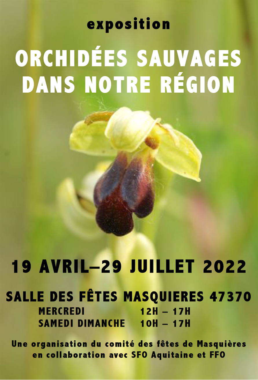 Exposition orchidées sauvages dans votre région 2022 masquieres