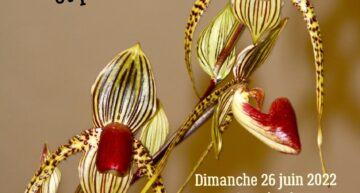 Bourse aux Orchidées et plantes rares – Orchidées 60 – Andeville – 26 juin 2022
