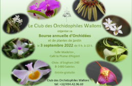 Bourse annuelle d’Orchidées – COW – 03 sep. 2022