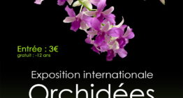 Exposition Orchidées – L’union – 28 au 30 oct 2022