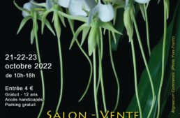 Exposition orchidées à Breuillet 21-23 octobre 2022