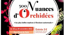 500 Nuances d’Orchidées – Paris – 18 au 20 nov. 2022