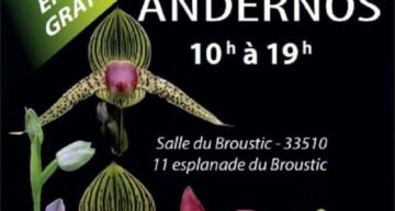 Expo vente d’orchidées, Andernos – 7 au 9 octobre 2022