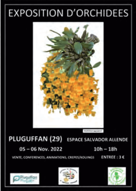 Expo d'orchidées Pluguffan nov-2022