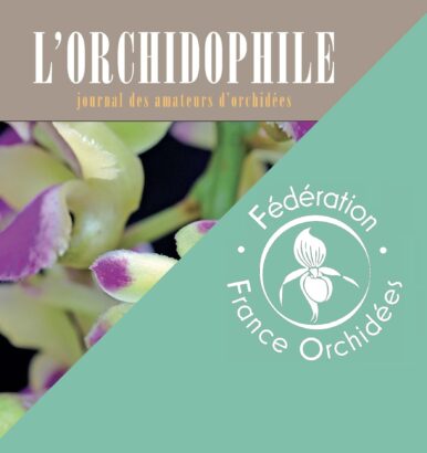 Boutique Abonnement L'Orchidophile Adhérent