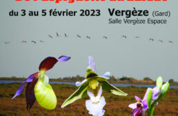 21e salon international d’orchidées à Vergèze du 3 au 5 fev. 2023