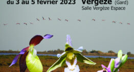 21e salon international d’orchidées à Vergèze du 3 au 5 fev. 2023