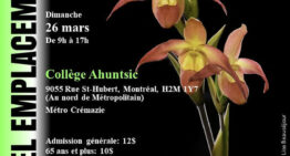 Exposition vente d’orchidées à Montréal les 25 et 26 mars 2023