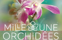 Exposition Mille & une Orchidées 2023 – 8 fév. au 6 mars 2023