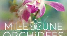 Exposition Mille & une Orchidées 2023 – 8 fév. au 6 mars 2023