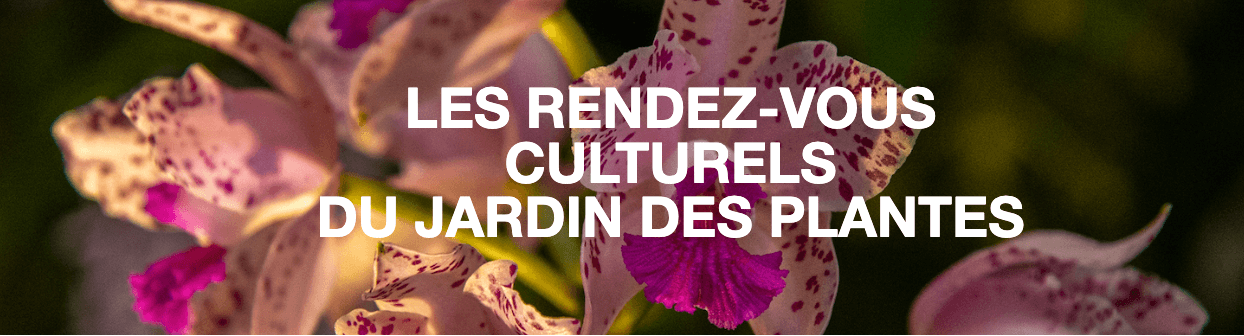 "De la sexualité des orchidées" - 18 et 19 février 2023 - Jardin des Plantes