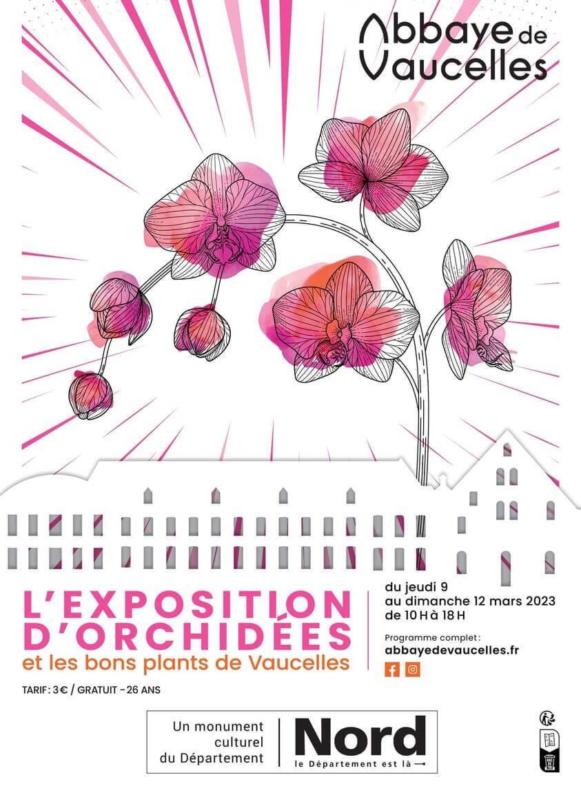 Mars-2023-abbaye-de-vaucelles-exposition-orchidees