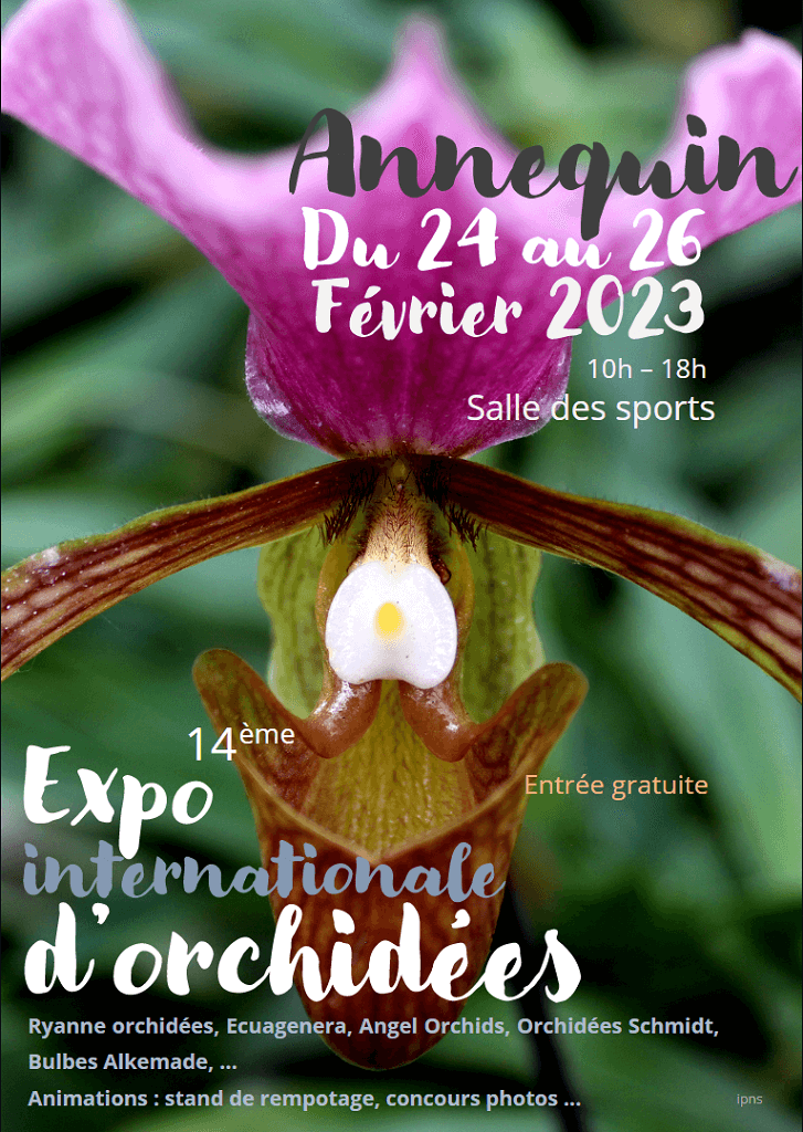 Expo d'Orchidees Annequin du 24 au 26 fevrier 2023