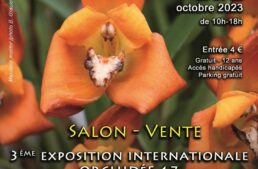 Exposition d’orchidées à Breuillet – 20 au 22 octobre 2023
