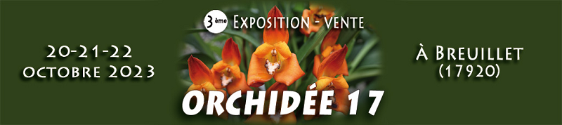 Exposition orchidees breuillet oct 2023 bas