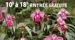 Exposition d’orchidées à Audenge – 20-21 mai 2023