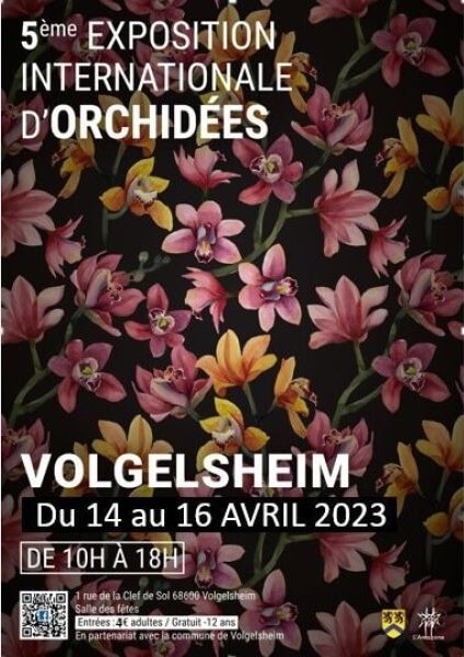 Exposition Orchidées Volgelsheim avril-2023