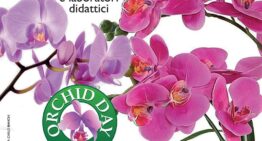 Exposition d’orchidées ‘Asso Orchid Show’ – région de Côme en Italie le 25 juin