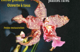 Bourse aux orchidées et plantes rares d’Orchidée 60 – 25 juin 2023