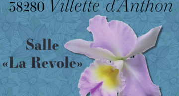 Exposition d’orchidées à Villette d’Anthon sep. 2023