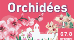 Festival Orchidées à Fontfroide – 6 au 8 octobre 2023