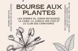 Bourse aux plantes au jardin botanique de Liège le 7 octobre 2023