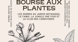 Bourse aux plantes au jardin botanique de Liège le 7 octobre 2023