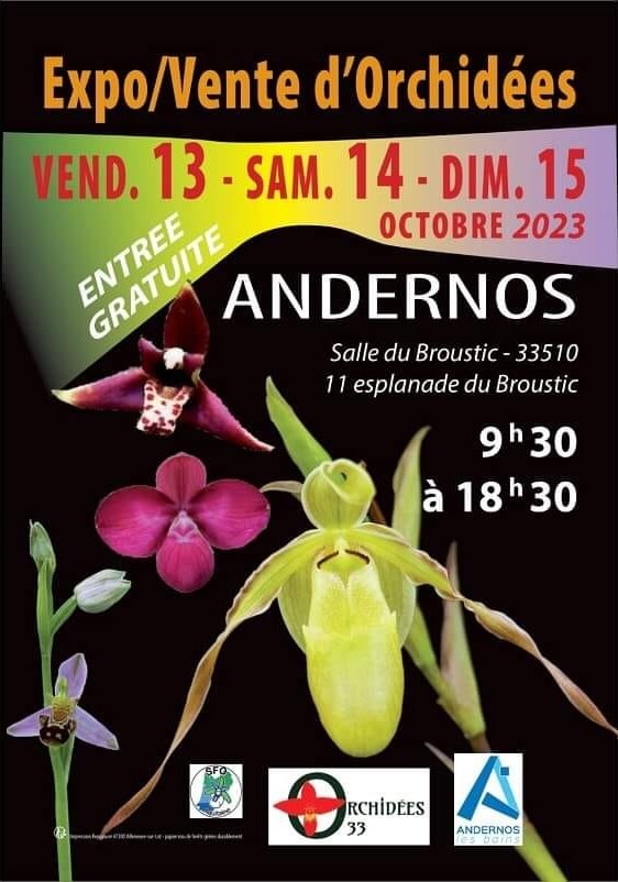 octobre 2023 exposition orchidee 33 SFO aquitaine