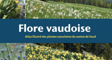 Flore vaudoise – Atlas illustré des plantes vasculaires du Canton de Vaud