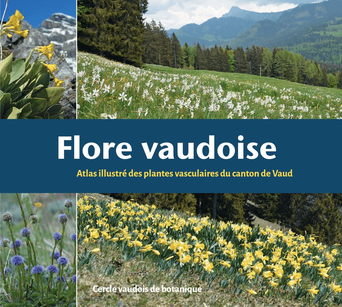 Flore vaudoise - Atlas-Canton de Vaud