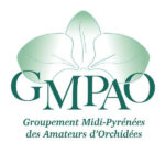 Logo GMPAO