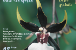 Exposition d’orchidées à Annequin – février 2024