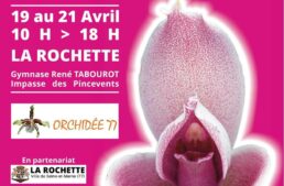 Biennale des orchidées – La Rochette – avril 2024