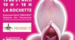Biennale des orchidées – La Rochette – avril 2024