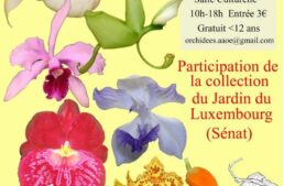 Exposition d’orchidées à Barberey-Saint-Sulpice – mars 2024
