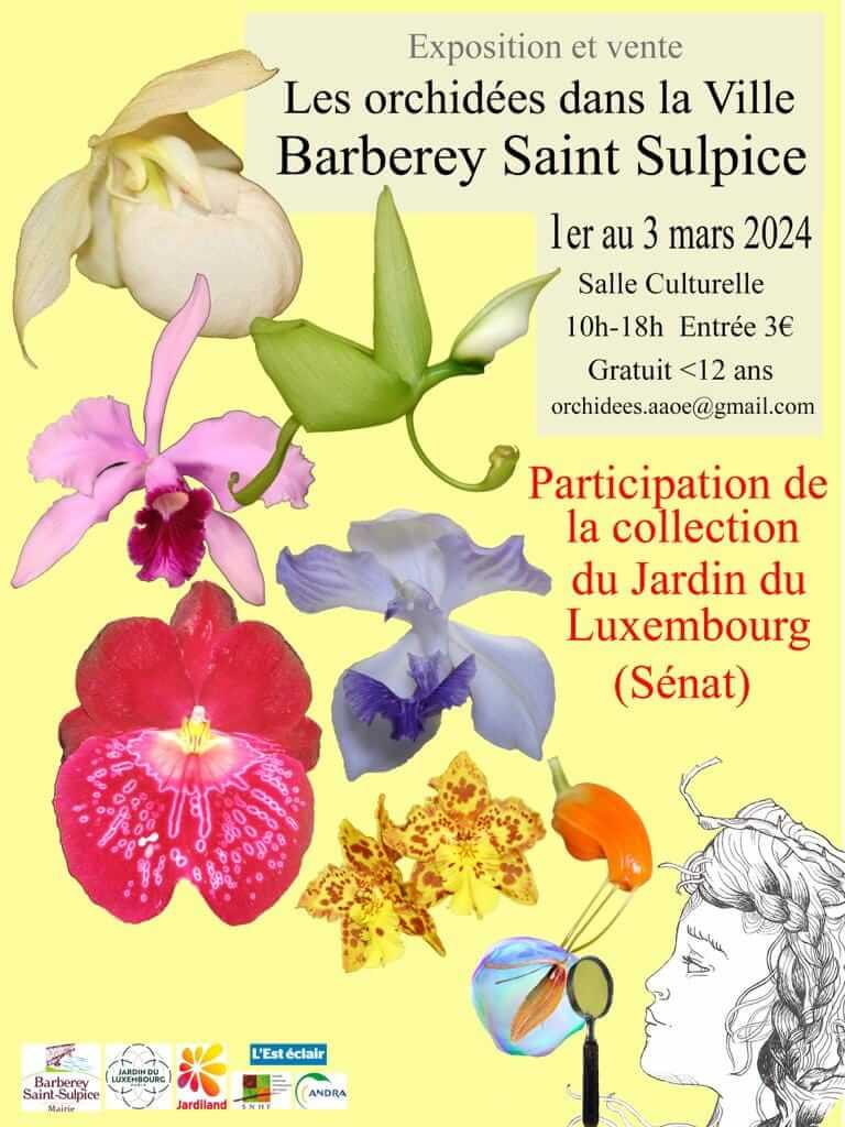 Exposition d'orchidees à barberey-saint-sulpice en mars 2024