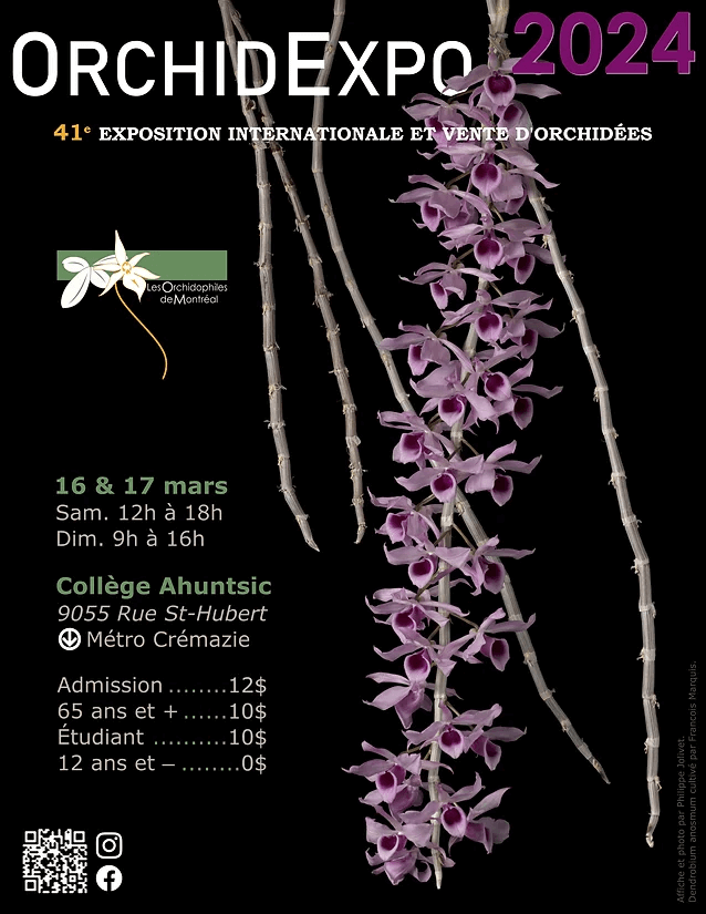 Exposition d'orchidées à Montréal (Québec) en mars 2024