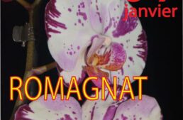 Salon des Orchidées – Romagnat – 6 et 7 janvier 2024