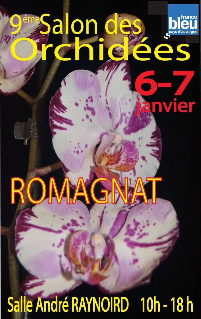 Exposition d'orchidées à romagnat janvier 2024
