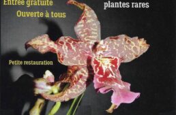 Bourse aux orchidées et plantes rares – Andeville – mai 204