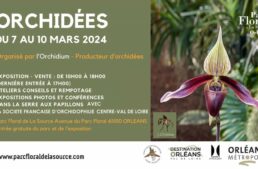 Exposition d’orchidées parc floral Orléans – mars 2024