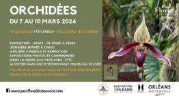 Exposition d’orchidées parc floral Orléans – mars 2024