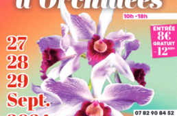 Exposition internationale d’orchidées 60 – Sep. 2024
