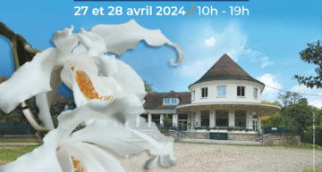 Salon des orchidées – Rueil Malmaison – avril 2024